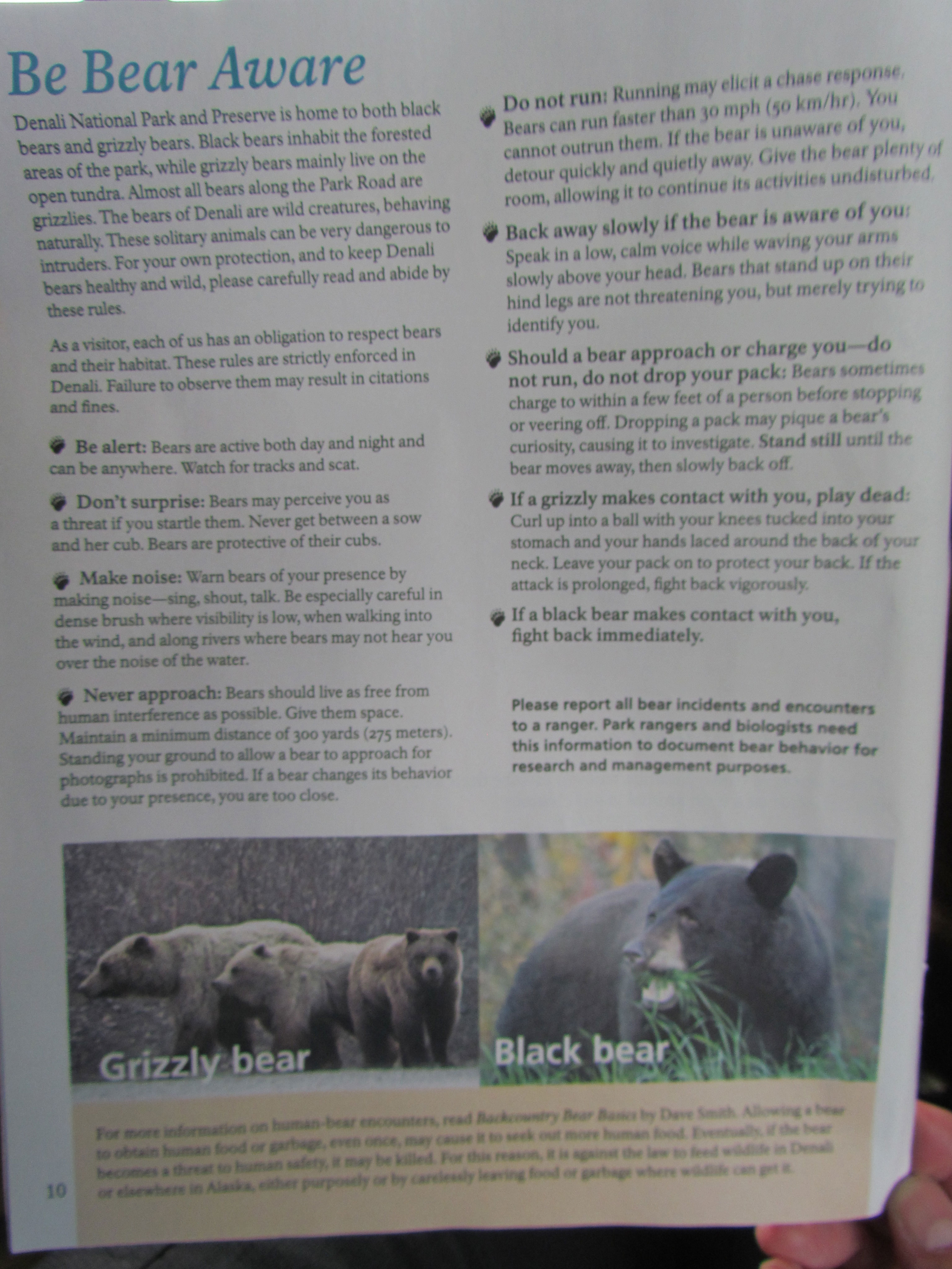 compendio de como asustar a un oso